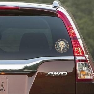 Albert Einstein I Motivation Through Innovation I Scientist I Car Window Sticker (PVC Vinyl)