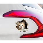 Car Stickers Exterior 3D Graphics Printed Sticker for Car Body Bumper Bonnet Side Door Decal Accessories Gift Stylish Decor (Cute Kitten)