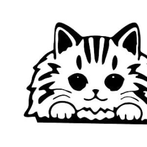 Vinyl Cute Cat Glossy Car Vehicle Sticker, 6.5 x 4.5 Inches Black