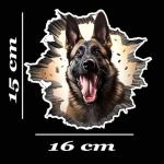 3D Dog Wall Break Sticker for Car & Bike | Glossy Finish Waterproof Vinyl Decal | Bike Stickers | car Stickers | Car Body, Bike Tank, Laptop Sticker (16 cm x 15 cm)