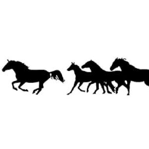 Car Stickers Exterior Horse Racing Decal for Car Door Racing Sticker Color Black Pack of 1