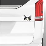 Peeking Car Stickers Exterior 3D Graphics Sticker for Window Bumper Bonnet Side Door Decal Accessories Gift Stylish Decor (Cute Cat)