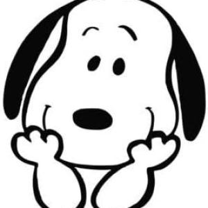 Cute Cartoon Dog & Bird Vinyl Sticker | Waterproof & Weatherproof Decal for Car, Truck, Laptop, Wall & Window | Easy Peel & Stick