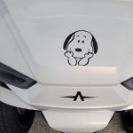 Cute Cartoon Dog & Bird Vinyl Sticker | Waterproof & Weatherproof Decal for Car, Truck, Laptop, Wall & Window | Easy Peel & Stick